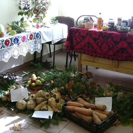 Pensiunea Popasul Iancului