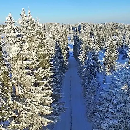 Penzion Pensiunea Popasul Iancului