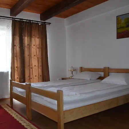 Pensiunea Popasul Iancului 3*